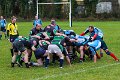 Perennials_at_Monaghan_01_12_2013 (6)